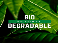 OXO Biodegradable Vs Compostable Plastics