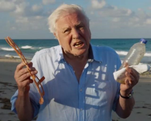 David Attenborough raised the issue of the impact plastic has on the sea